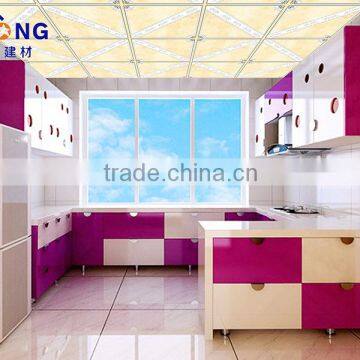 Foshan Factory Suspended ceiling accessories