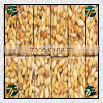 High Speed Easy Operation Peanut Brittle Cutting Machine for Sale photo-5
