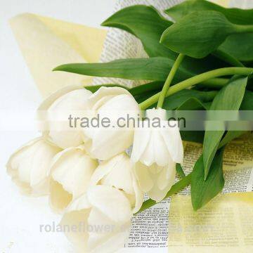 2016 High Quality Beautiful Cut White Tulip Flower From Kunming photo-3