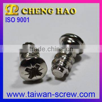 Customized Phillips Truss Head CS Screws