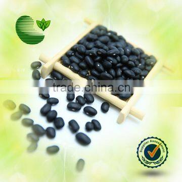 Black Kidney Beans Black Kidney Beans