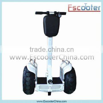 2015 Hot Sale Zappy Scooter Two Wheel Electric Scooter with Green Power