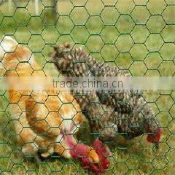 Hexagonal iron Wire Mesh For chicken Coop