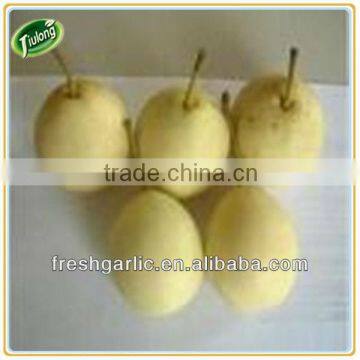 Fresh Chinese ya Pear