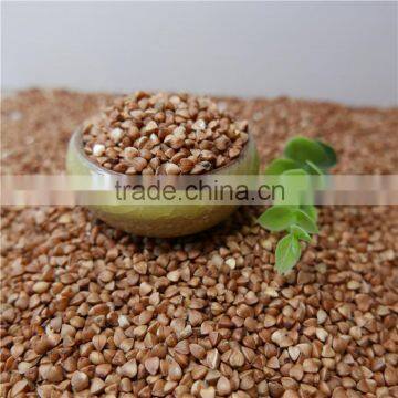 High quality sweet raw buckwheat roasted buckwheat kernel price