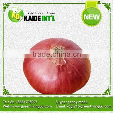 Shandong Onion Exporters In China