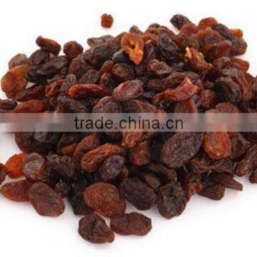 BEST INDUSTRIAL RAISIN FOR EXPORT