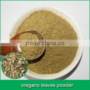 oregano leaves powder