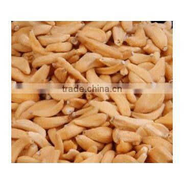 Dehydrated Garlic Flakes/Dehydrated Garlic Cloves