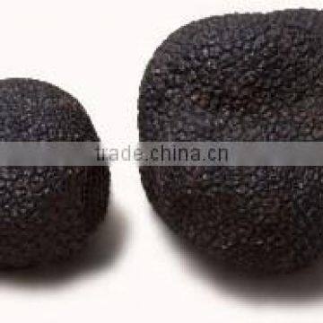 BLACK TRUFFLE (Tuber Melanosporum Vitt)