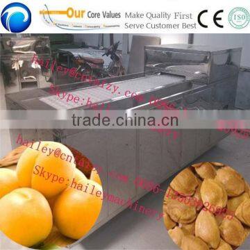 Professional Fruit Seed Removing Machine/olive Pitting Machine/cherry Pit Remove Machine