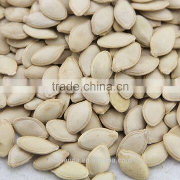 wholesale edible white pumpkin seed price