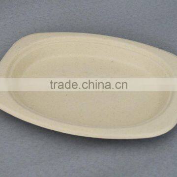 Eco Friendly Biodegradable Wheat Straw Disposable Charger Paper Plate photo-6