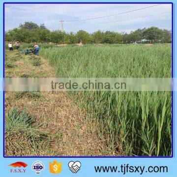 Good Reaper Binder photo-3