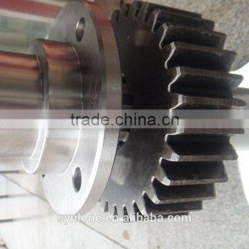 Spur gear shaft,main shaft gear,nylon worm gear