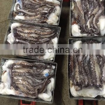 Frozen Giant Squid Tentacles/frozen Giant Squid Soft Tentacles photo-3