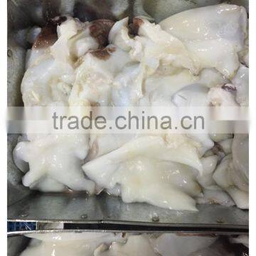 Frozen Giant Peru Fillet Squid Neck Size 500+ on Sale photo-4