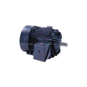 Marathon Motor