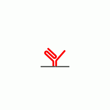 Shanghai Zhongya Neon Technology Co., Ltd.