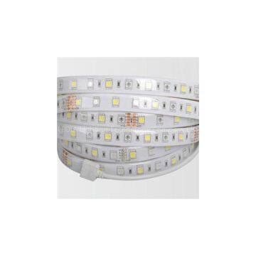 SMD 5060 LED Strip Light