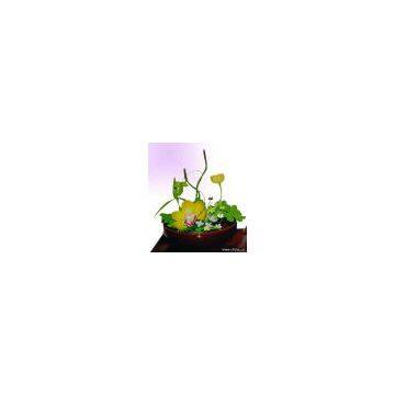 Cattaleya Orchid FROM POLYMER CLAY