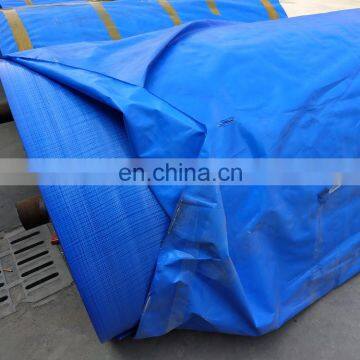 Blue Tarp Material PE Tarpaulin Roll For Printing