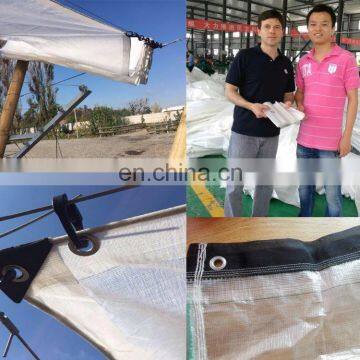 pe tarpaulin with reinforced border with aluminium eyelet along edge for cherry tree grap greenhouse cover in the rain season