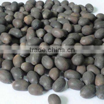 Dry Black Lotus Seed, vietnam origin