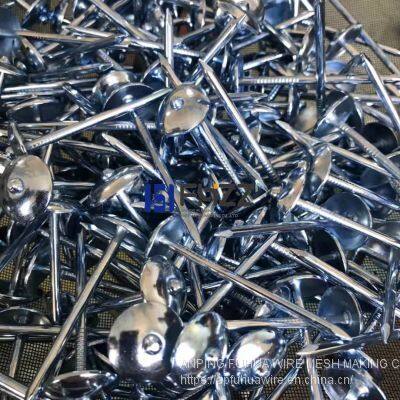 Zinc Coated Umbrella Head Roofing Nails photo-2