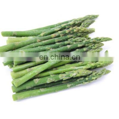 Frozen asparagus 500g/1kg/2kg/10kg/20kg packing good quality