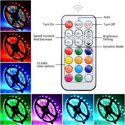 Customized 5050 Rgb LED Light Strip Set WS2811 RGBIC 21key Infrared Music Smart Control LED Strip Kit photo-4