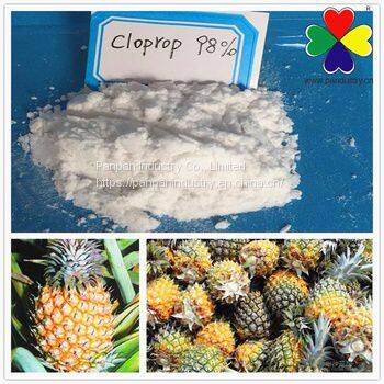 High Quality Plant Rooting Cloprop for Agriculture Fruitone-CPA 3-cpa photo-2