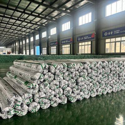 Thermoplastic Polyolefin (TPO) Waterproof Membrane photo-3