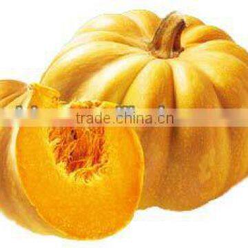 high quality dried pumpkin best price