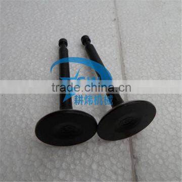 gasoline engine parts 160F valve