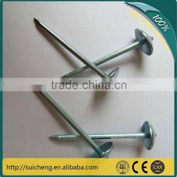 Guangzhou Building Common Nails/ Galvanized Nails/ Round Nails