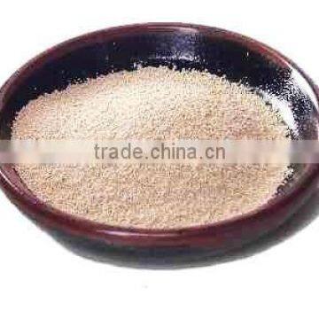 Fermentated Instant Dry Yeast Bread