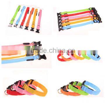 dog collar led