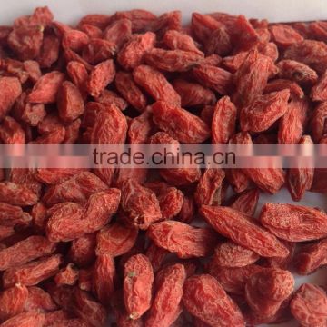 Organic Goji Berries Wholesale