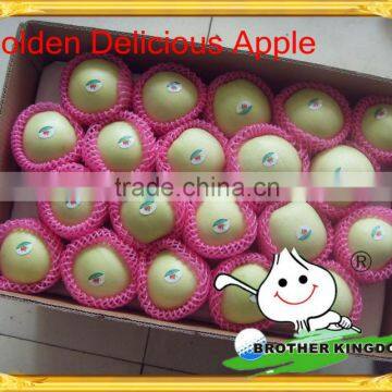 Fresh Golden Delicious Apple from China