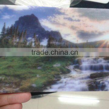 High Speed Printing Digital LED DS A2 UV 0609 Glass Printer photo-6
