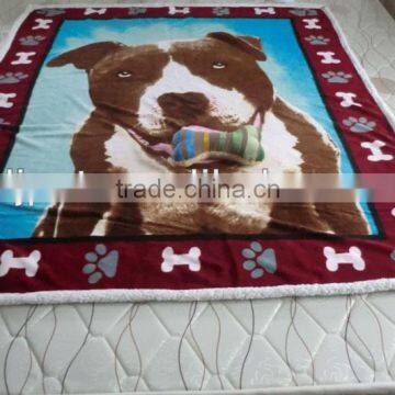 100%polyester panel print coral fleece pet blanket