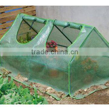 Tomato Greenhouse(TK22015-E)