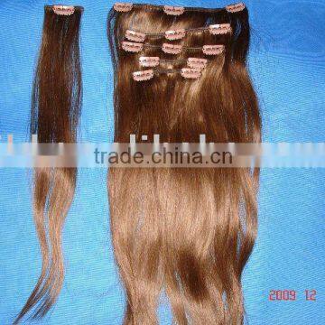 Clip on Hair