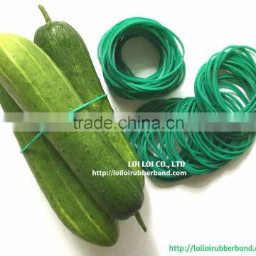 32mm Green Rubber band tying vegetables and flowers - High tensile flexible rubber band