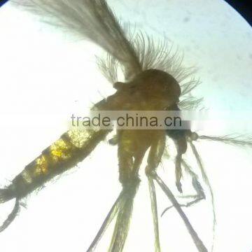 Microscope Prepared Slides ,MEDICAL PARASITOLOGY Slides, Prepared Slides