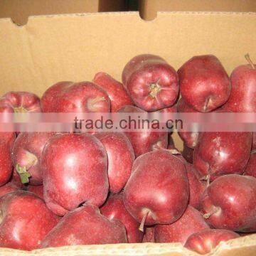 Chinese fresh hua niu apples