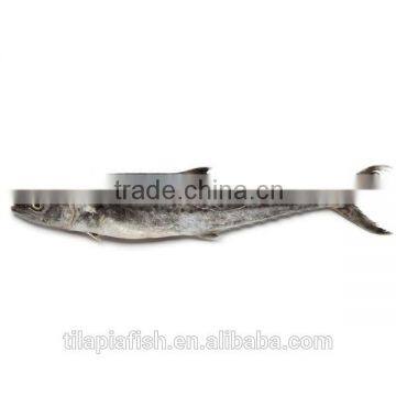Frozen fish all frozen foods for sale
