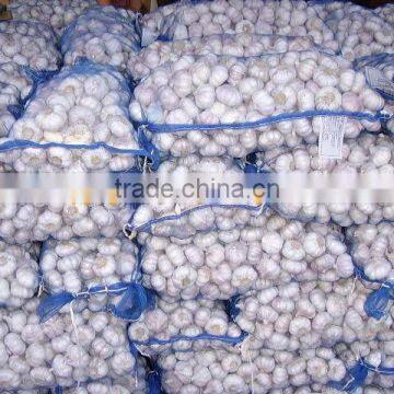 Plastic Mesh Bag For Garlic/Potato For Germany/UK Market