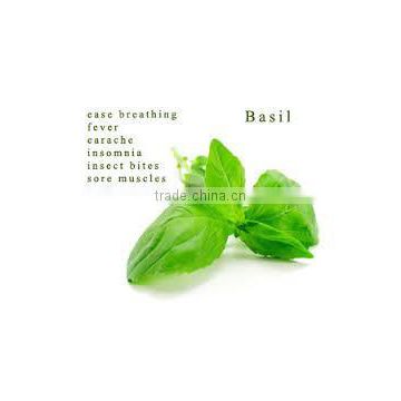 Basil oil BP /USP